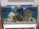 [TodoMarino.com] El rive reff