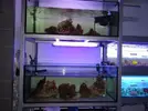 [TodoMarino.com] Nuevas instalaciones JC1VETERINARIOS