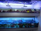 [TodoMarino.com] Nuevas instalaciones JC1VETERINARIOS