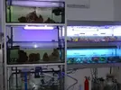 [TodoMarino.com] Nuevas instalaciones JC1VETERINARIOS
