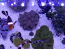 [TodoMarino.com] Corales!