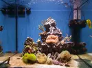 [TodoMarino.com] Del LED al HQI (AdrianReef)