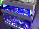 [TodoMarino.com] Bricoled 120l 90w + 18w sump