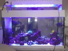 [TodoMarino.com] Bricoled 120l 90w + 18w sump