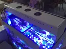 [TodoMarino.com] Bricoled 120l 90w + 18w sump