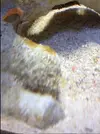 [TodoMarino.com] la primera vida que veo en mi acuario