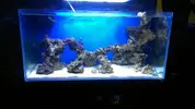 [TodoMarino.com] Problemas con AQUAFLASH 96W v1 que desastre ....