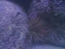 [TodoMarino.com] Nuevo Proyecto Cube Sera 130