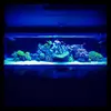 [TodoMarino.com] Micro reef  56 litros