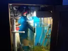 [TodoMarino.com] Mi primer marino