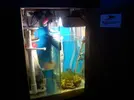[TodoMarino.com] Mi primer marino