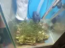 [TodoMarino.com] Mi primer marino