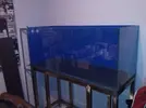 [TodoMarino.com] El reef de Nayara