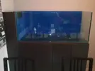 [TodoMarino.com] El reef de Nayara