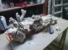 [TodoMarino.com] El reef de Nayara