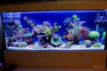 [TodoMarino.com] El reef de Nayara