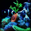 [TodoMarino.com] Micro reef  56 litros