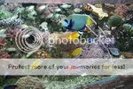 [TodoMarino.com] fotos con mi camara nueva
