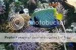 [TodoMarino.com] fotos con mi camara nueva