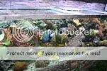 [TodoMarino.com] fotos con mi camara nueva