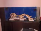[TodoMarino.com] El reef de Nayara