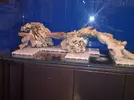 [TodoMarino.com] El reef de Nayara