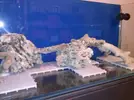 [TodoMarino.com] El reef de Nayara