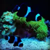 [TodoMarino.com] Micro reef  56 litros