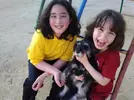 [TodoMarino.com] Los más perros de TodoMarino...