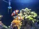 [TodoMarino.com] Empezando y presentando Nano de 30L