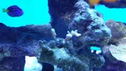 [TodoMarino.com] Mi primer marino