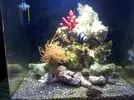 [TodoMarino.com] Empezando y presentando Nano de 30L