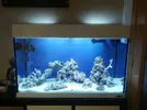 [TodoMarino.com] Nuevo Proyecto 125L.