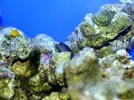 [TodoMarino.com] nuevos en marino y con muchas ganas de compartirlo