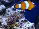 [TodoMarino.com] nuevos en marino y con muchas ganas de compartirlo