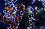 [TodoMarino.com] nuevos en marino y con muchas ganas de compartirlo