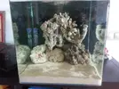 [TodoMarino.com] Mi primer acuario (90 litros)