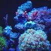 [TodoMarino.com] Micro reef  56 litros