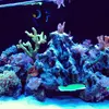 [TodoMarino.com] Micro reef  56 litros