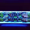 [TodoMarino.com] Micro reef  56 litros