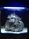 [TodoMarino.com] Nano Reef  a partir de un Resum dms 500  Pl