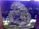 [TodoMarino.com] Nano Reef  a partir de un Resum dms 500  Pl