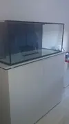 [TodoMarino.com] Mi primer proyecto marino de 300 litros