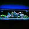 [TodoMarino.com] Micro reef  56 litros