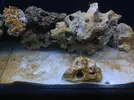 [TodoMarino.com] Mi primer proyecto en Marino! Nano Reef