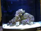 [TodoMarino.com] Nano reef blau 60L