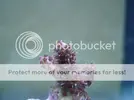 [TodoMarino.com] pruebas de fotos