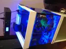[TodoMarino.com] Me he pasado al led de espectro completo: Mis pantallas buenas bonitas y baratas