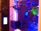 [TodoMarino.com] Me he pasado al led de espectro completo: Mis pantallas buenas bonitas y baratas