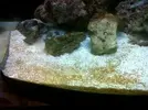 [TodoMarino.com] Nano reef blau 60L